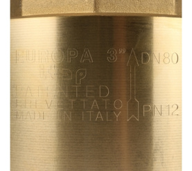 Клапан обратный пружинный муфтовый с металлическим седлом EUROPA 100 3 Itap в Воронеже 7