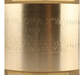 Клапан обратный пружинный муфтовый с металлическим седлом EUROPA 100 2 1/2 Itap в Воронеже 7